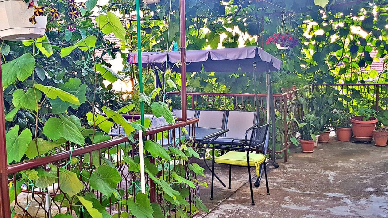 טרוגיר Apartment Pepica מראה חיצוני תמונה